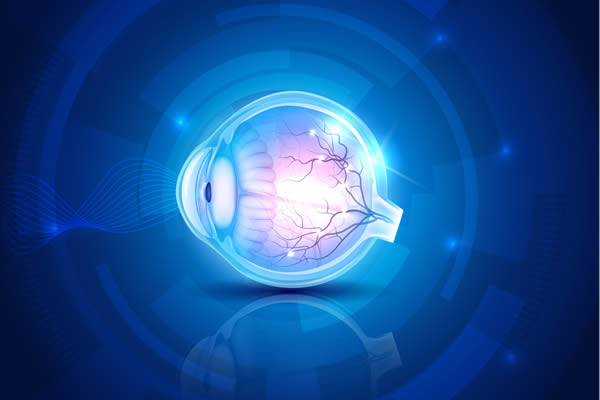 Auge Bild Auge Bild