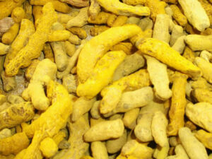 Curcuma
