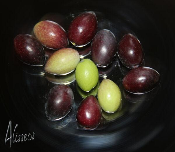 Alisseos Premium Olivenöl 5.000ml – Bild 4