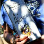 Alisseos Premium Olivenöl 5.000ml – Bild 3