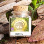 Frühlings Äquinox - Ostara