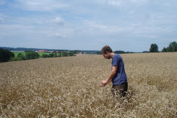 Stefan_vor_der_Ernte