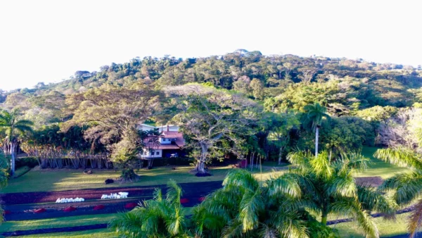 Endlos Summer - Classic Espresso, ganze Bohne 250g – Bild 3